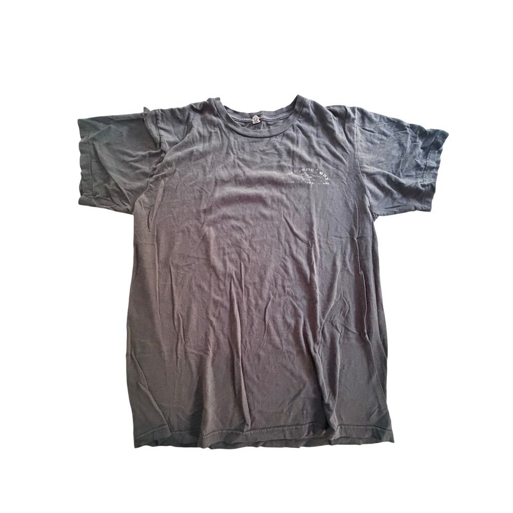 The Stone Pony Asbury Park NJ Tee Mens Medium Anvil Gray Distressed Rock T Shirt
